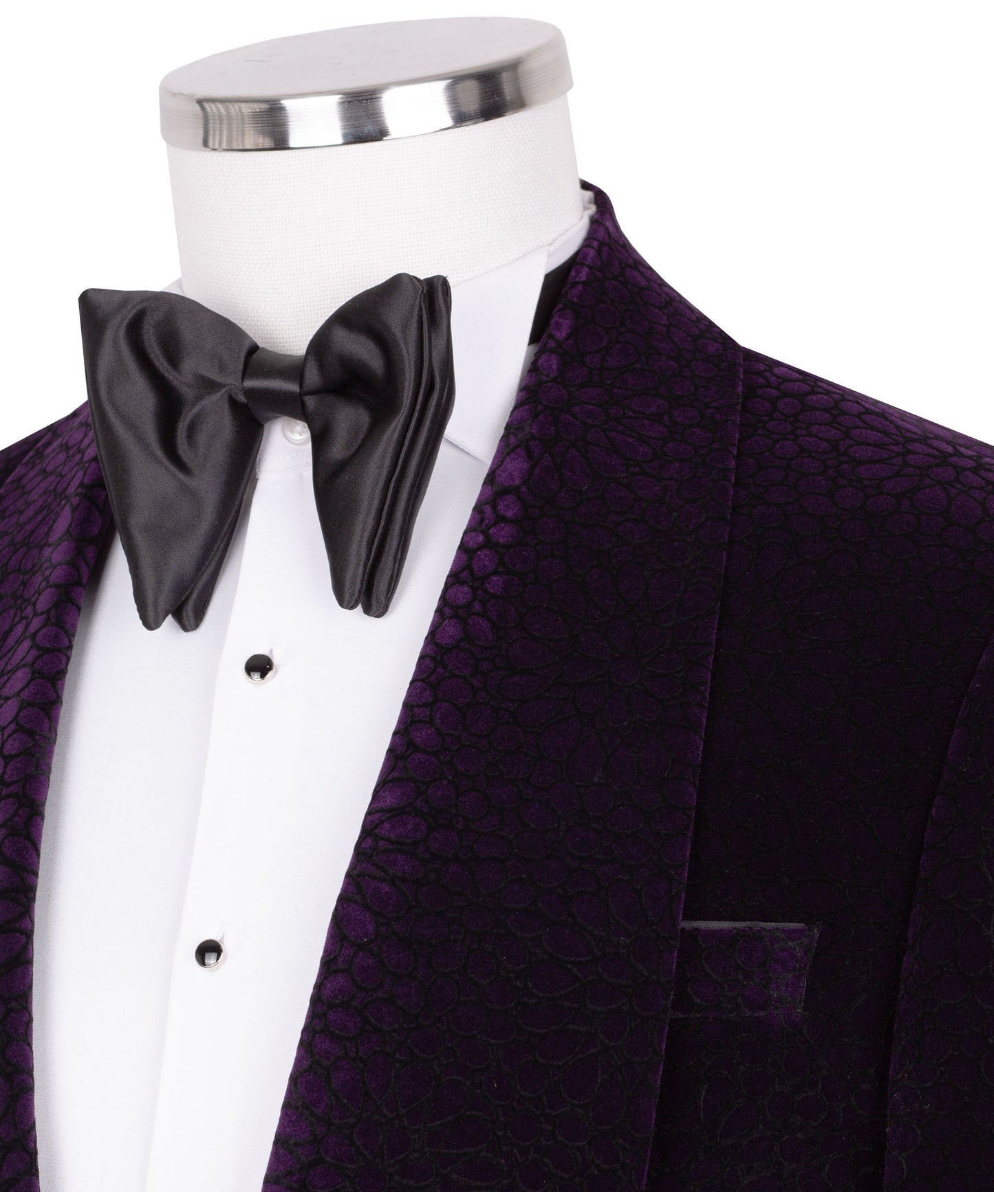 Velvet purple tuxedo